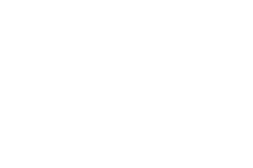 INKVEIL