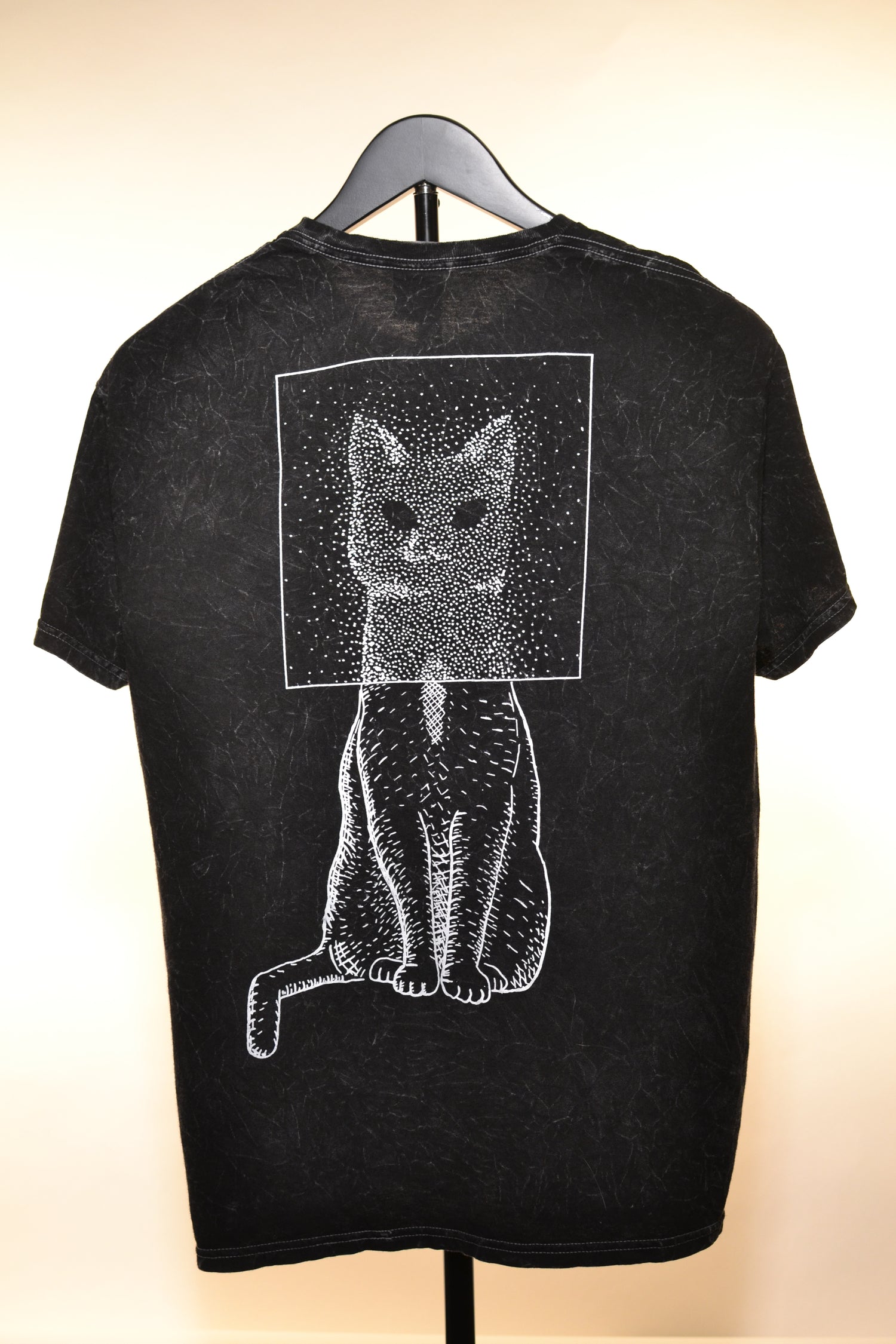 Void Cat