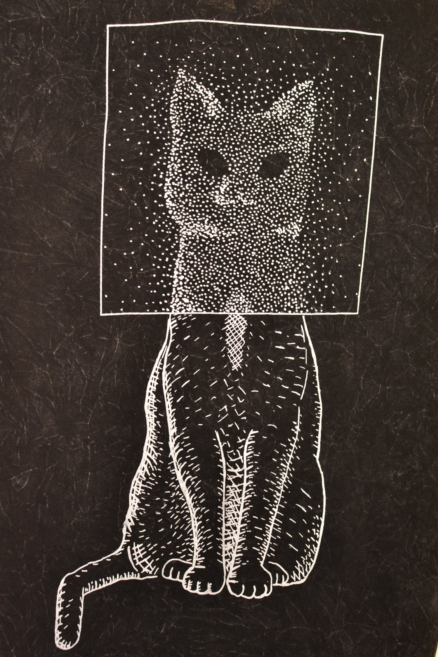 Void Cat
